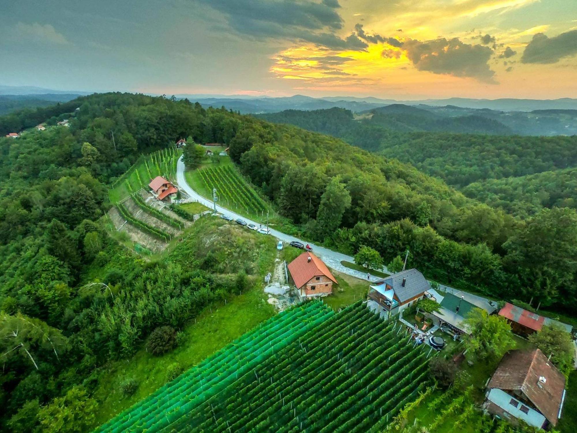 Vineyard Cottage Matej Trebnje Exteriör bild